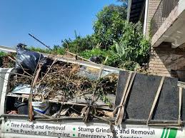 Shed Removal in Smithville, TX